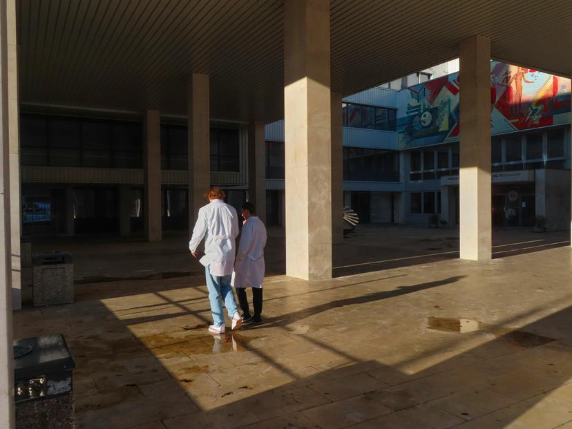 O Que Pensam os Diretores de Residência médica dos EUA?